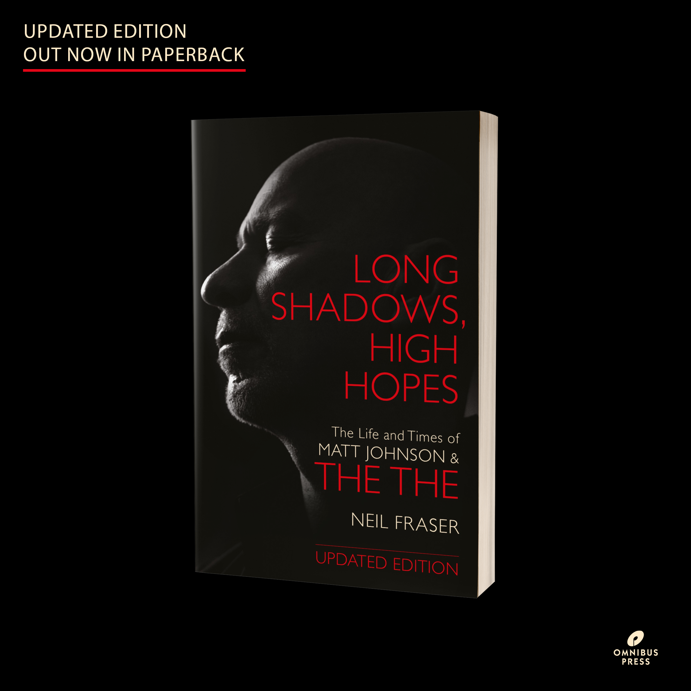 LONG SHADOWS, HIGH HOPES - paperback - Image 3